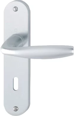 Ensemble De Porte Sur Plaque New York - Entr.165mm - Bec De Cane - Argent F1 -1810/318KN - 3282411