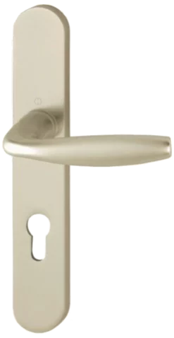 Ensemble De Porte Plaque Large New York Clé I Champagne F2 HOPPE - 1810/300M - 195mm - Entr.7/70 C.7 - 38/47 - 3281944