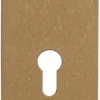 Contre-plaque CAVERS ISEO - Pour Verrou Arnov Profil Européen - Bronze - 9701EU01SA