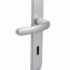 Ensemble De Porte Budget BEZAULT Entraxe 195 Mm Clé L - Argent - 204856