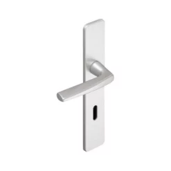 Ensemble De Porte Riviera BEZAULT Entraxe 195 Mm Argent - Bec De Cane - 0072713