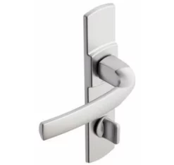 Ensemble De Porte Sur Plaque Artis BEZAULT Entraxe 165mm - Inox Brossé - Bec De Cane WC - 865254