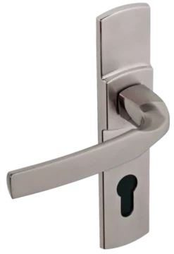 Ensemble De Porte Sur Plaque Artis BEZAULT Entraxe 195mm - Inox Brossé - Clé I - 864707